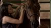 Midnight-Stallion-HD-ScreencapsBJ_091.jpg